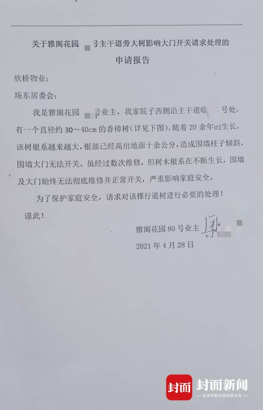 上海一业主砍伐院外树木被罚3万元：曾多方反映要求处理，已提行政诉讼