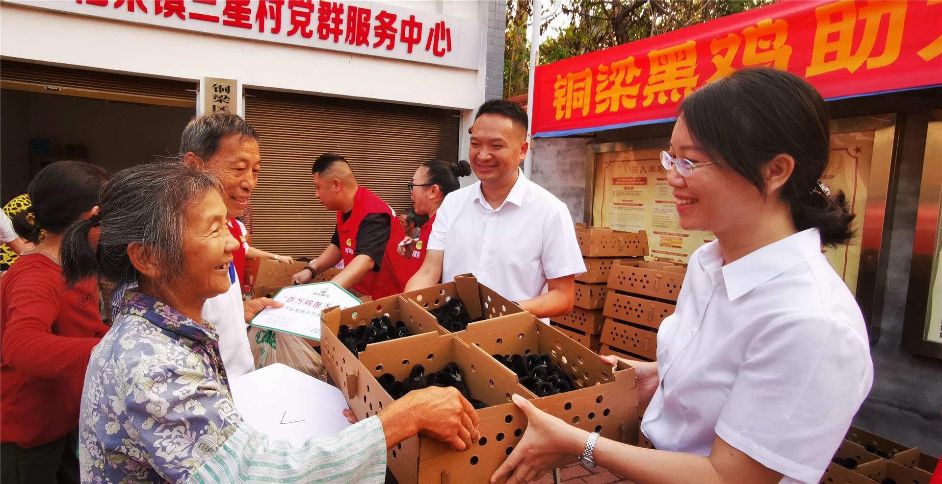 民建会员为村民免费送100万只铜梁黑鸡鸡苗