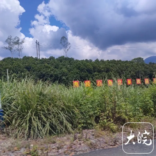 广西致5死1伤命案嫌犯逃进大山!进村盘山路民警每50米值守,村民“不敢上山”……
