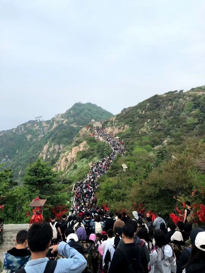 大学生版“泰山陪爬”情绪价值拉满，国庆节预约已爆