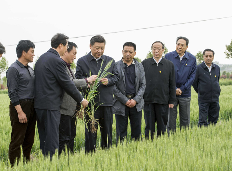 时习之 改革·印记丨让农民吃上“定心丸”