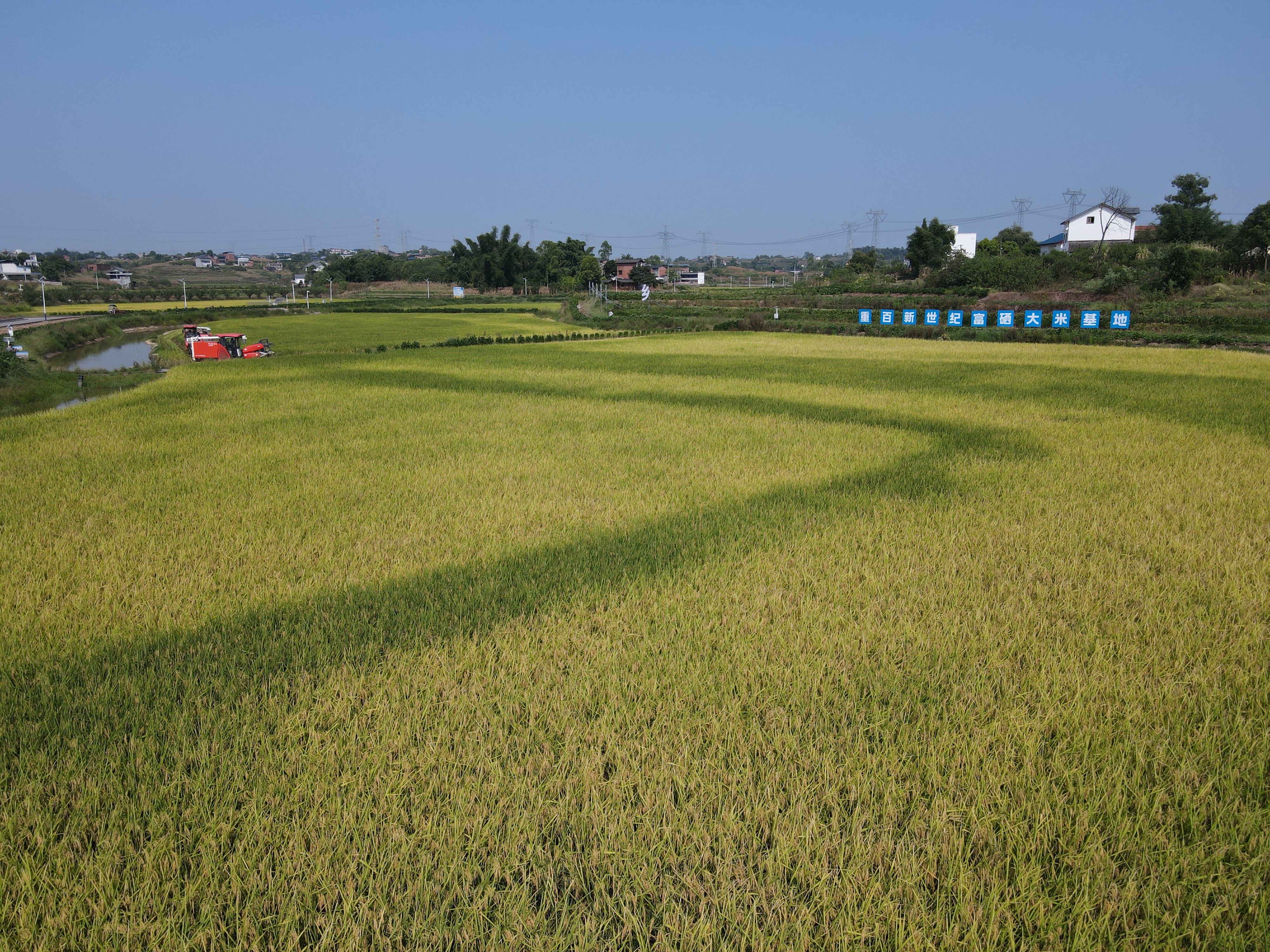 永川：黨建引領農(nóng)機社會化服務 助推村級集體經(jīng)濟“提質(zhì)增速”