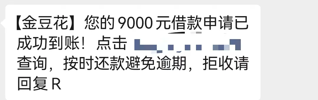 查一下贷款额度就背上了贷款 “借”2000元7天后需还3000元 遭遇黑网贷怎么办？