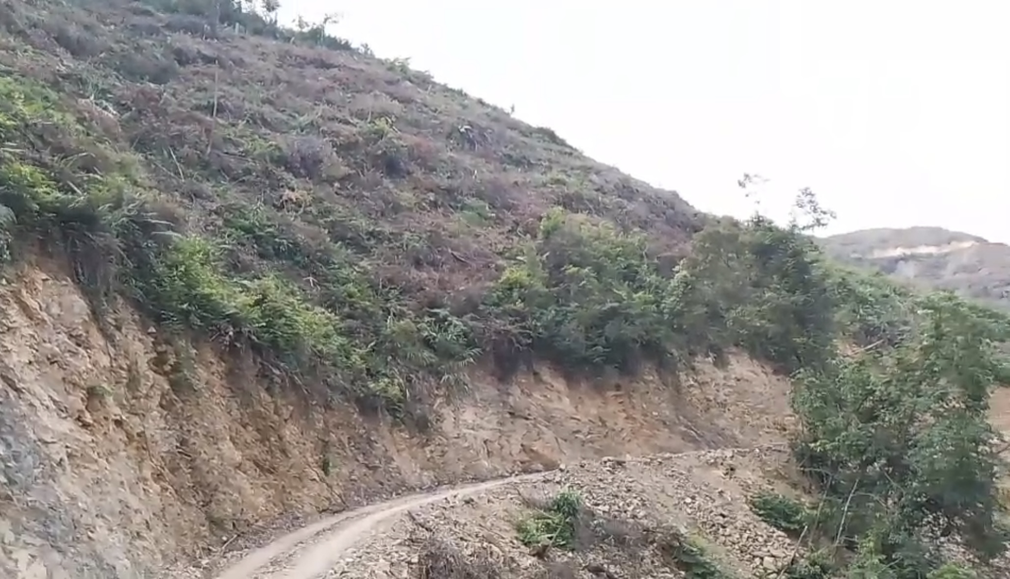村民称承包户开发山林致水源污染,广西昭平县一镇政府:正在解决