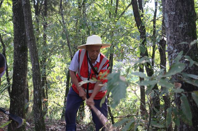 人物｜守山人何順明：55年瞭望守護5000畝森林