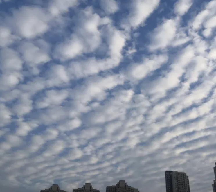 宁夏安徽两地地震，地震局回应！合肥上空鱼鳞状云与地震无关