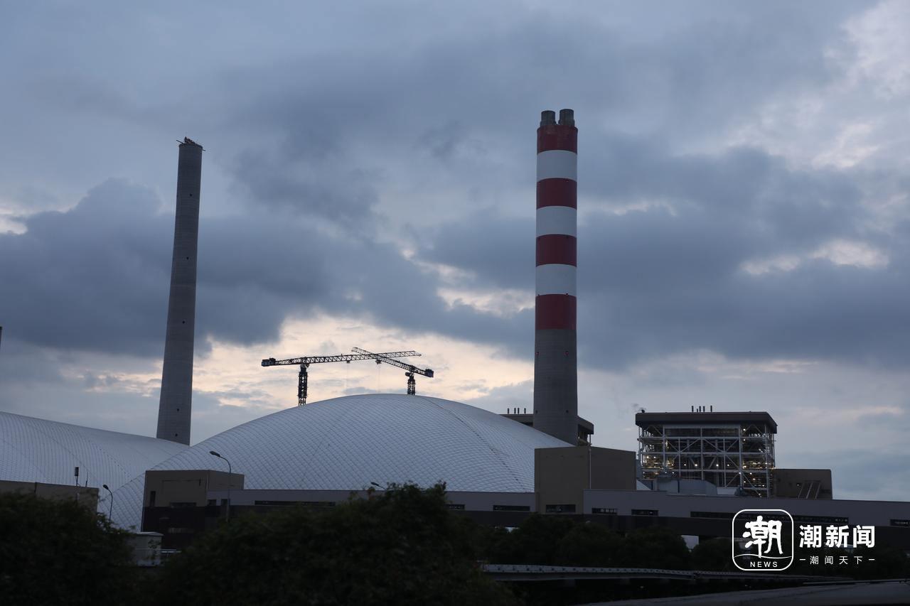 抓不完，根本抓不完，华东区域最大燃煤发电厂遭遇“海蜇危机”