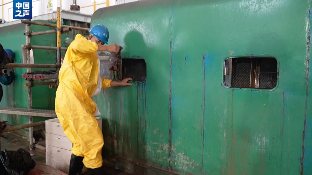 抓不完!浙江一发电厂遭海蜇“大规模入侵”,什么原因造成的?