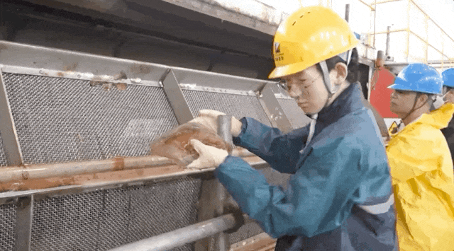 抓不完!浙江一发电厂遭海蜇“大规模入侵”,什么原因造成的?