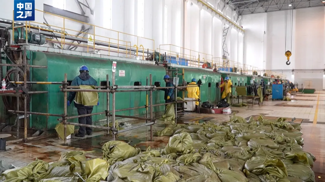 抓不完!浙江一发电厂遭海蜇“大规模入侵”,什么原因造成的?