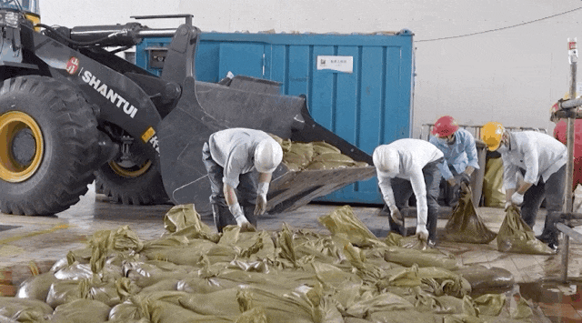 抓不完!浙江一发电厂遭海蜇“大规模入侵”,什么原因造成的?