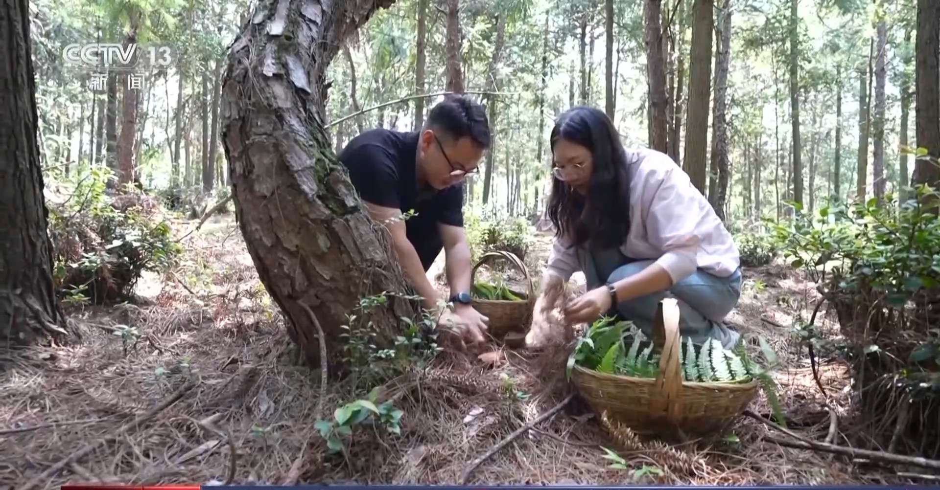 走，组团“采蘑菇”！解锁沉浸式出游新体验→