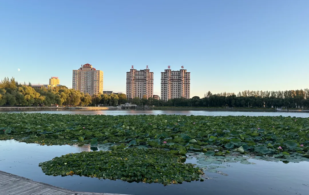 曾被贴上低房价标签的鹤岗,现在怎么样了?