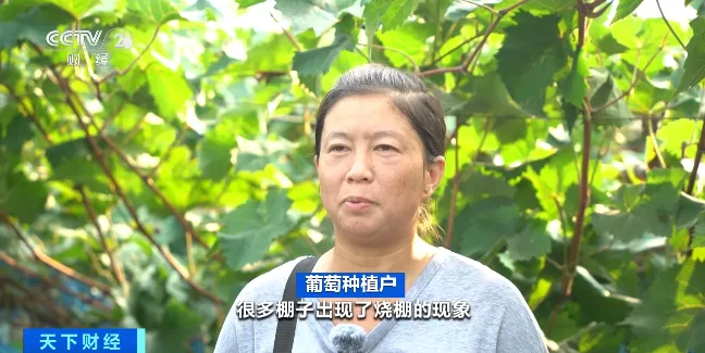 未命名图片