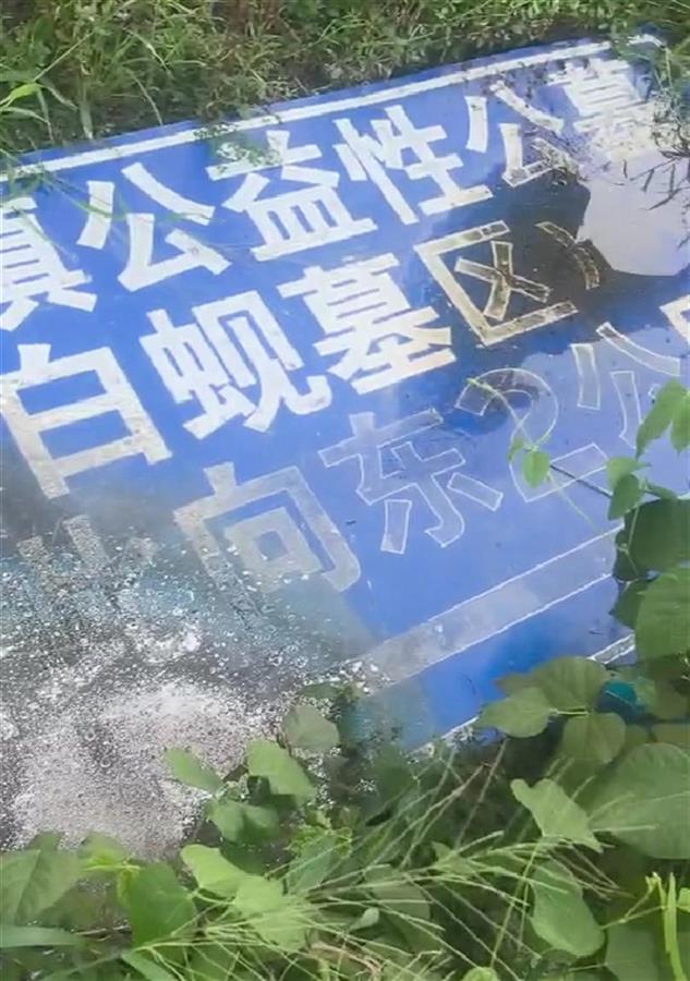 镇政府回应“先买墓地才能开死亡证明”:情况属实,5月已处理相关负责人
