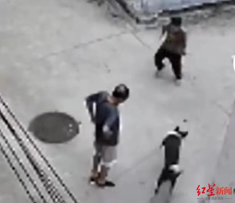 未命名图片