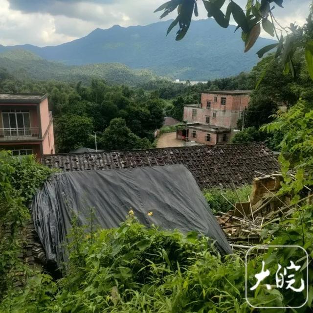 村民谈广西致5死1伤命案嫌犯：性格孤僻，和邻居有矛盾，准备过煤气罐害亲哥哥