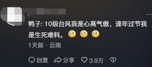 台风为什么吹不动鸭子?网友:我终于知道飞机为什么叫鸭式布局了