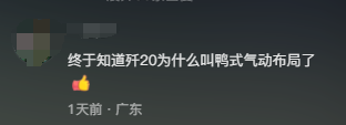 台风为什么吹不动鸭子?网友:我终于知道飞机为什么叫鸭式布局了