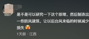 台风为什么吹不动鸭子?网友:我终于知道飞机为什么叫鸭式布局了