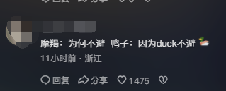 台风为什么吹不动鸭子?网友:我终于知道飞机为什么叫鸭式布局了