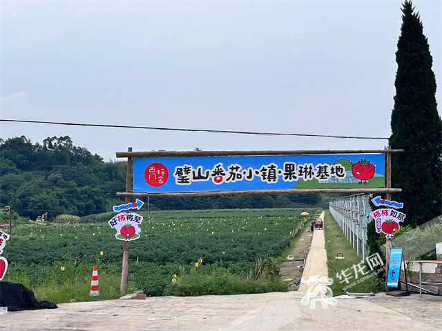 1俯瞰璧山將軍村。璧山區(qū)委宣傳部供圖.png