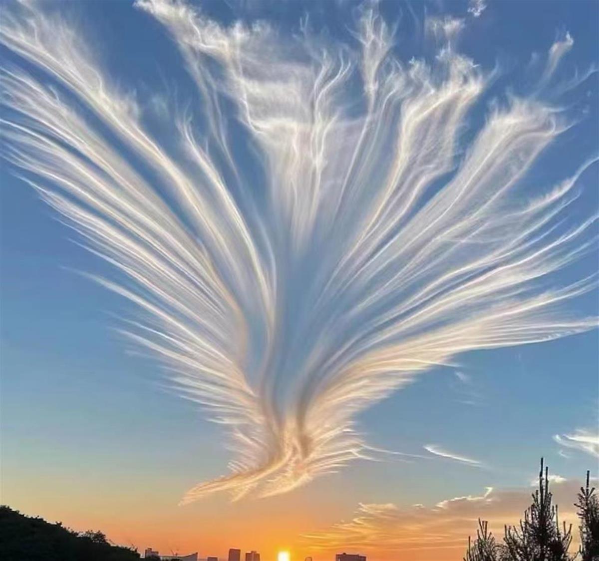 湖北天空出现“凤舞九天”奇观，专家解释是一片漂亮的毛卷云