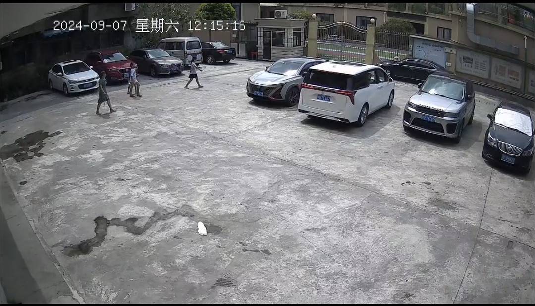 四川乐山9岁女孩外出“和同学玩”失联近一天后被发现溺亡 同学曾否认在一起