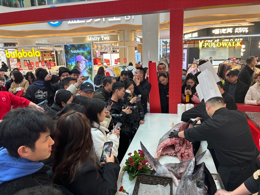 現(xiàn)場分割藍(lán)鰭金槍魚。受訪者供圖