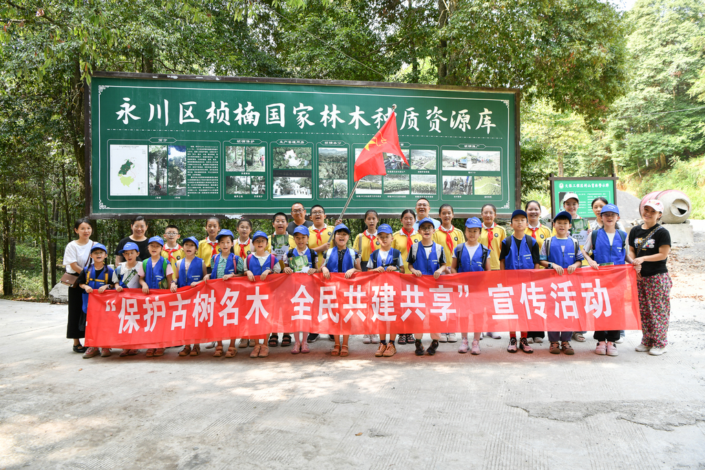 小記者探訪古樹名木林活動。重慶市林業(yè)局供圖