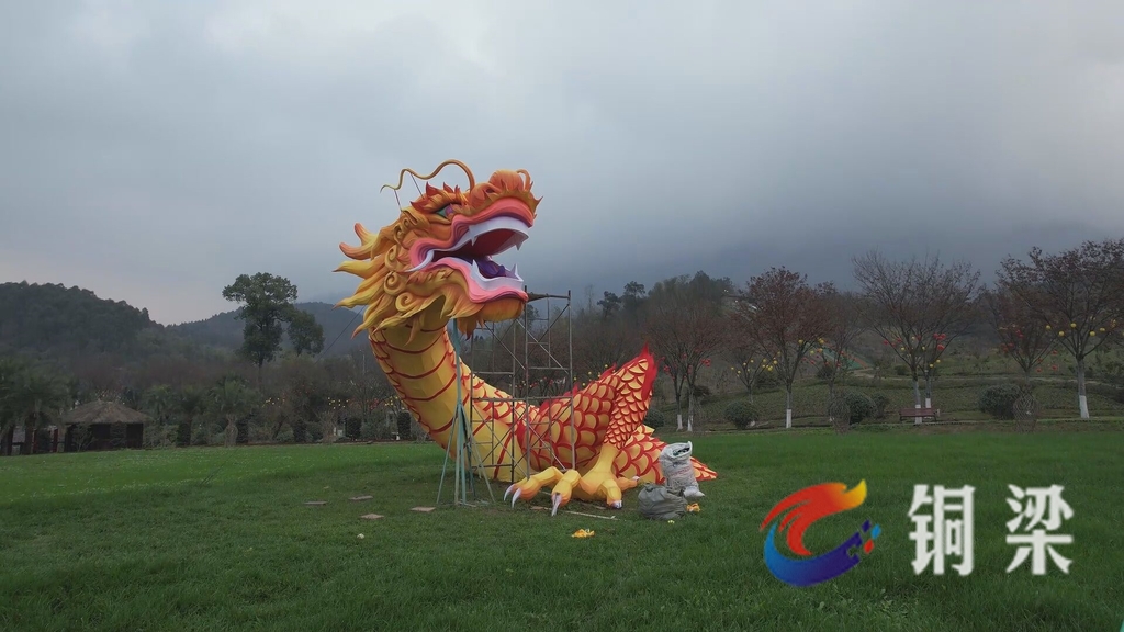 銅梁奇彩夢(mèng)園景區(qū)的特色龍燈。