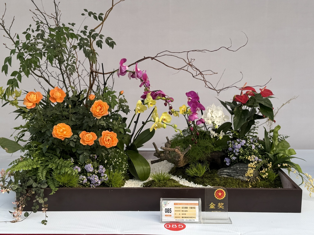 An award-winning work on display