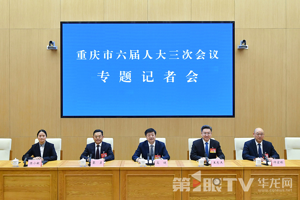 重庆市第六届人民代表大会第三次会议“做大做强制造业,着力打造新质生产力动力源”专题记者会现场。第1眼TV-华龙网 李一鸣 摄