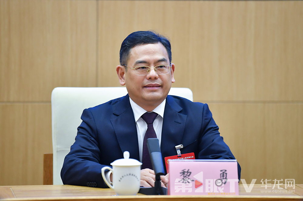 1月20日下午,重庆市第六届人民代表大会第三次会议“做大做强制造业,着力打造新质生产力动力源”专题记者会举行。图为市人大代表、涪陵区委书记黎勇发言。第1眼TV-华龙网 李一鸣 摄