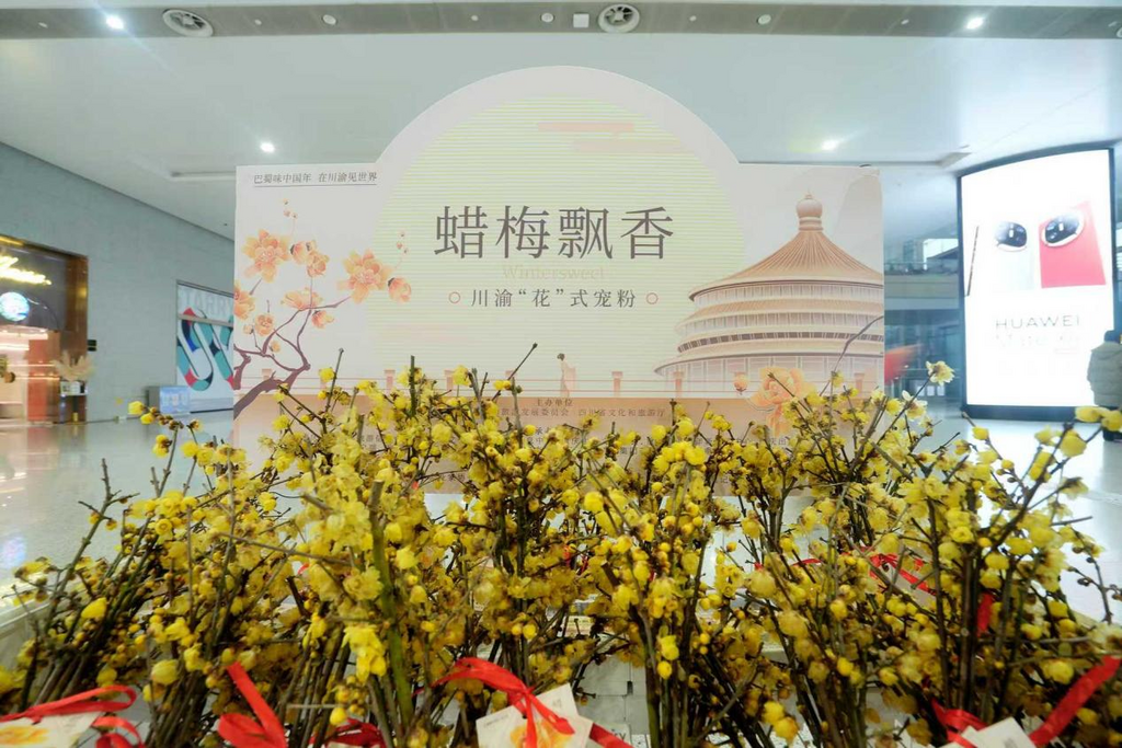 重慶江北機場主辦方為返鄉游子和游客準備的蠟梅花。主辦方供圖