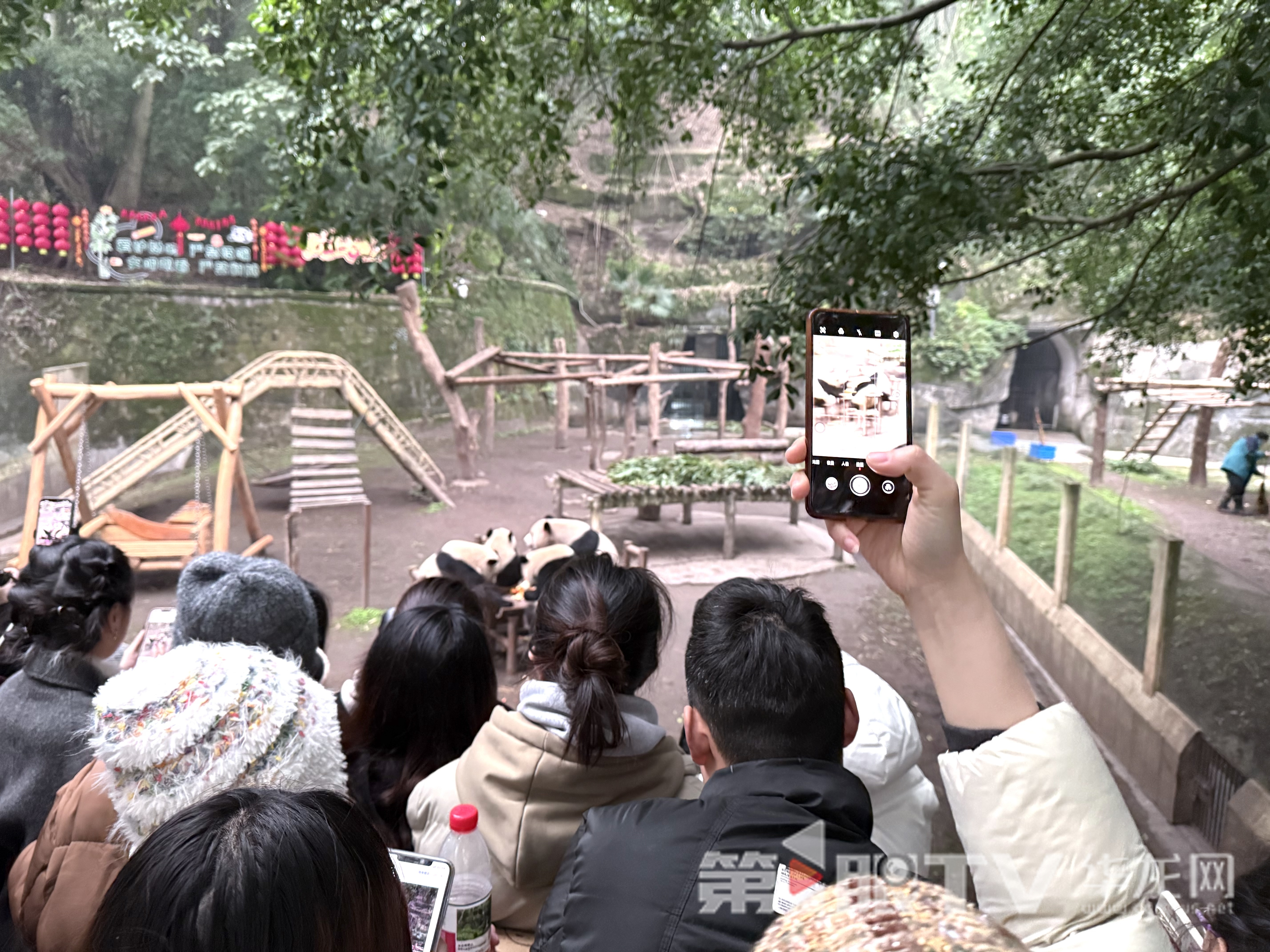重慶動物園內，游客絡繹不絕。第1眼TV-華龍網記者 謝鵬飛 攝