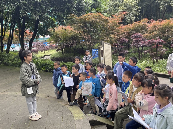 (圖5)