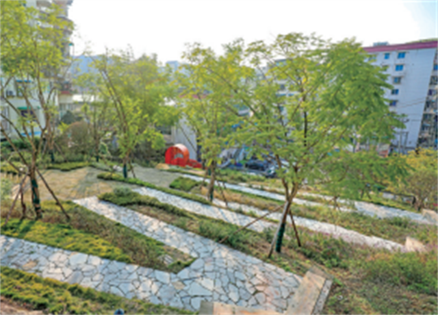 渝湖路口袋公園內設置的健身步道