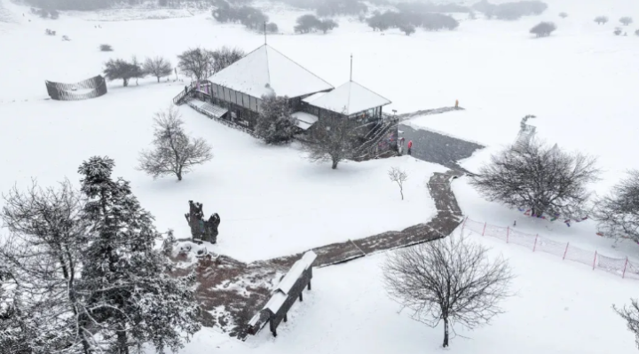 雪后的仙女山仿佛披上了銀裝。