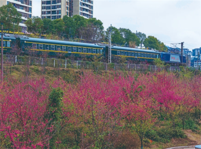 The train bound for spring