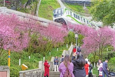 市民、游客畅游花海。记者 罗云希 王欢  摄