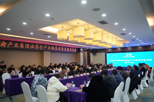 会议现场。华渝产业集团供图 第1眼TV-华龙网发