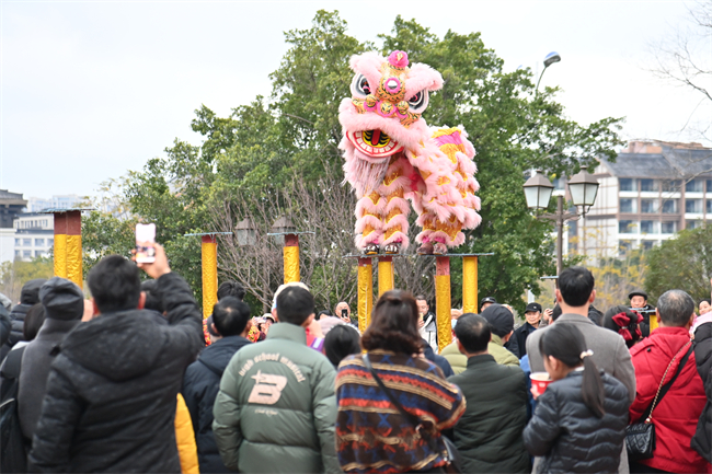 精彩的舞狮表演为游客带来视觉盛宴。沙坪坝区融媒体中心供图