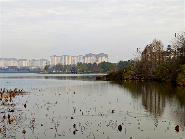 清晨的雙桂湖國家濕地公園，靜謐美好。梁平區(qū)融媒體中心供圖