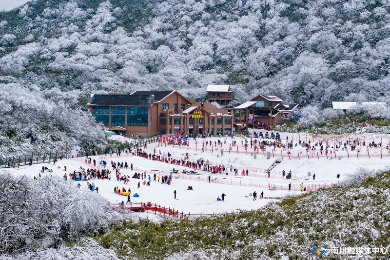 金佛山景区的滑雪场人气旺。通讯员 胡波 摄