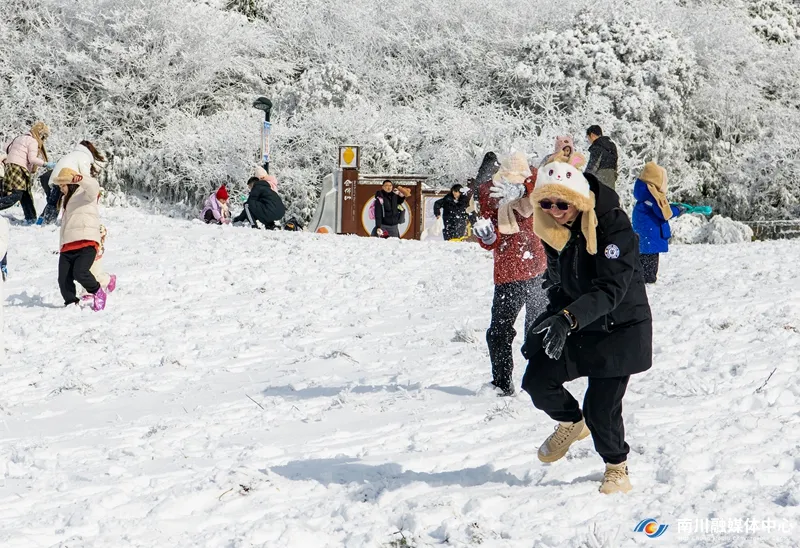 游客在金佛山景区打雪仗。通讯员 胡波 摄