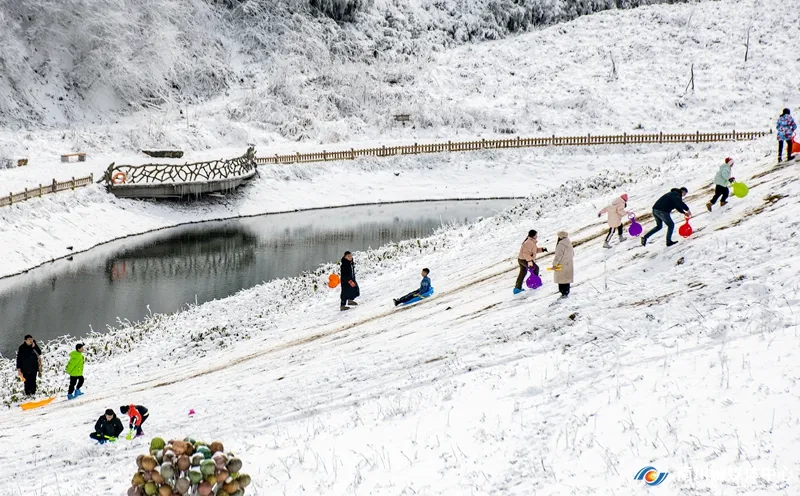 游客在白雪皑皑的金佛山景区玩雪。通讯员 胡波 摄