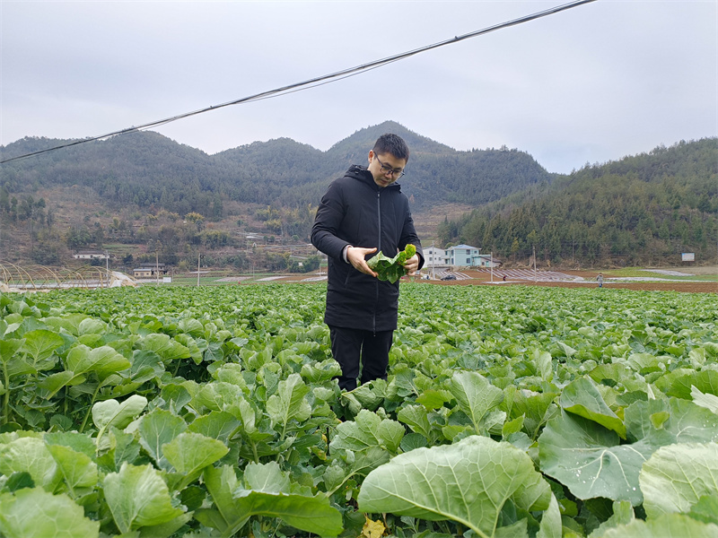 技術人員為農民進行技術示范。通訊員 王光平 攝