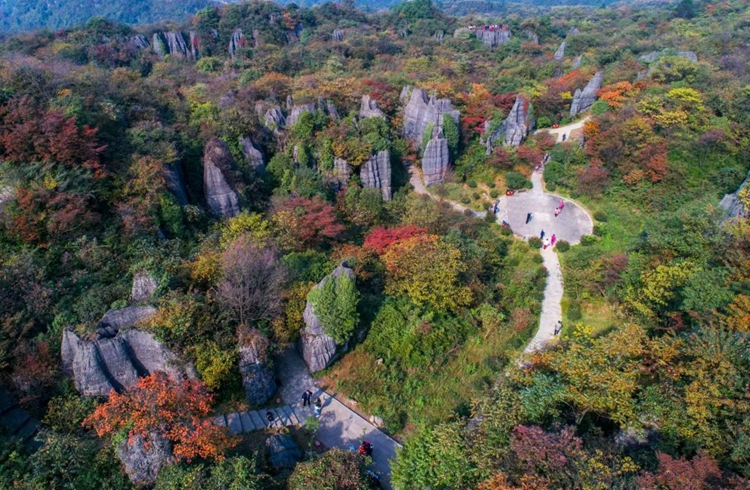 山王坪生态石林五彩缤纷。南川区文旅委供图 第1眼TV-华龙网发