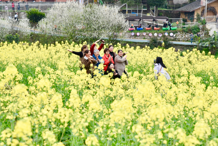 游客在花坝村油菜花田中赏花拍照。记者 张静 摄